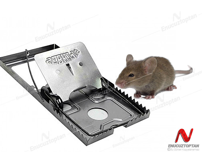 canlı fare kapanı
